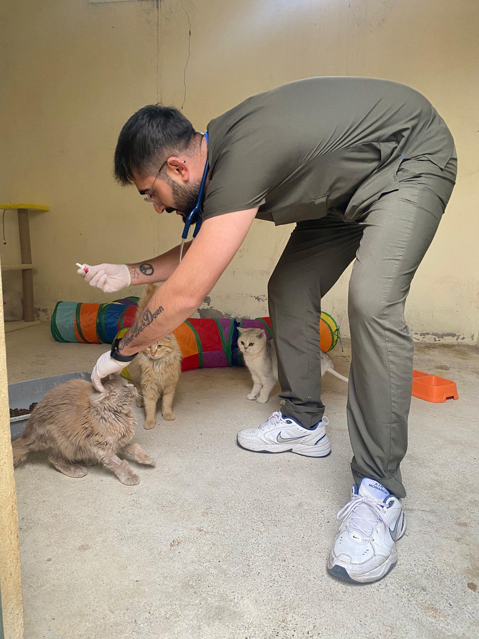 🐾 Veteriner Fakültesi, Sağlık Bilimleri Enstitüsü ile Hayvan Sağlığı Uygulama ve Araştırma Merkezinden Barınak Hayvanlarına Destek