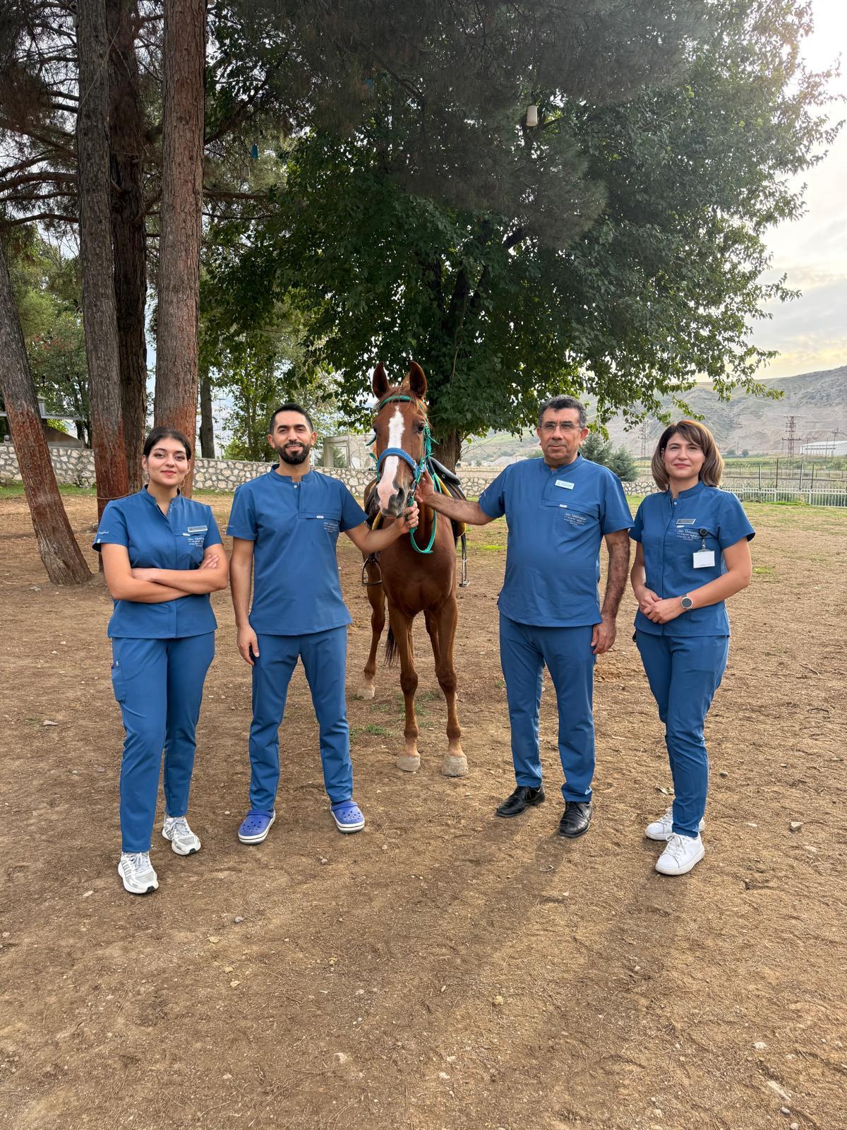 Öğrenci Merkezli Eğitim ve Akran Öğrenmesi: İntörn Öğrencilerimize Sahada Uygulamalı At Klinik Muayenesi Eğitimi